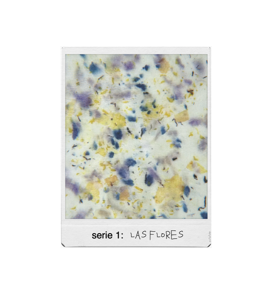 serie 1: las flores