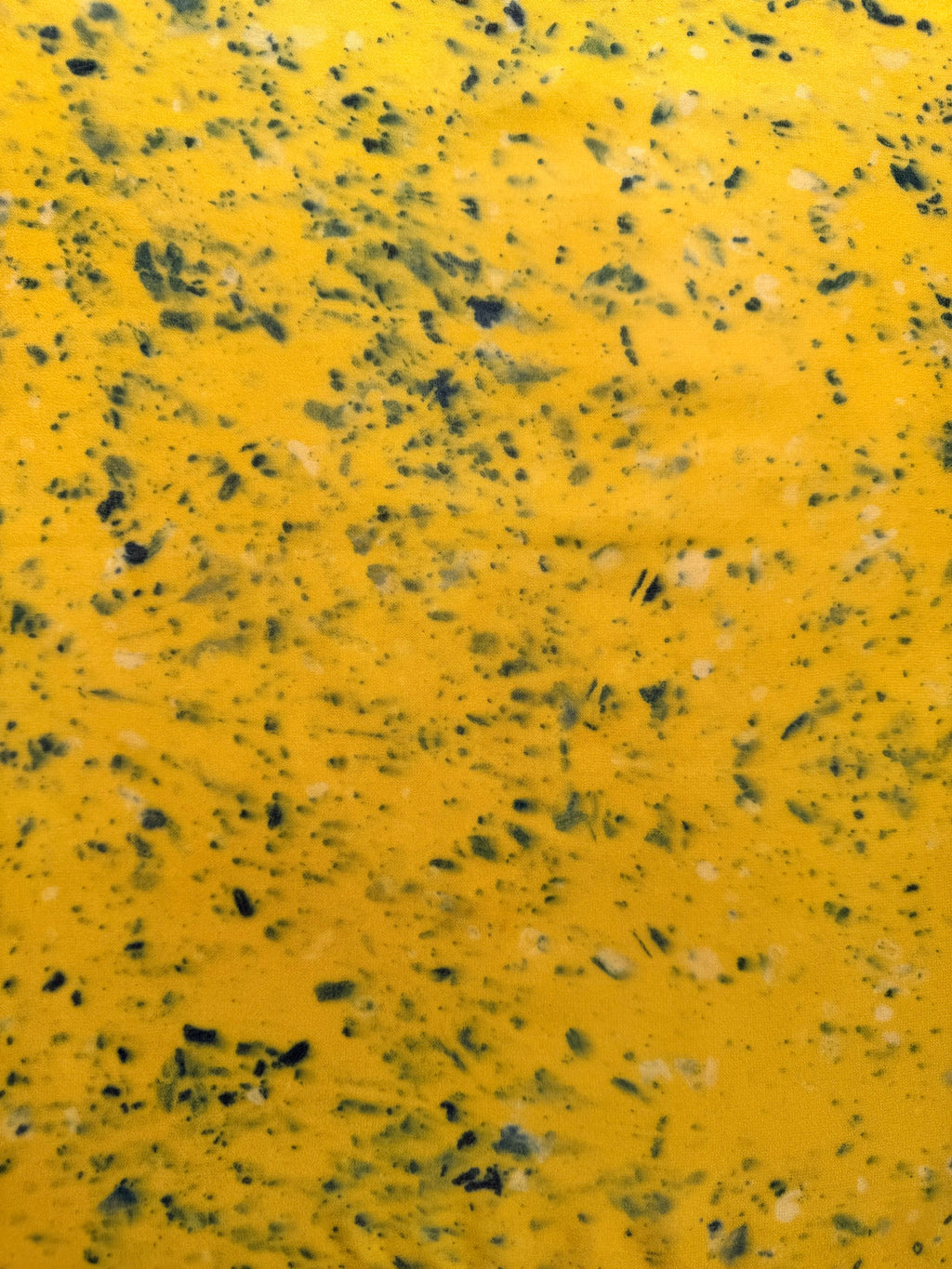 mediodía #3 _ pañuelo de seda con estampación botánica / 50x50 cm.
