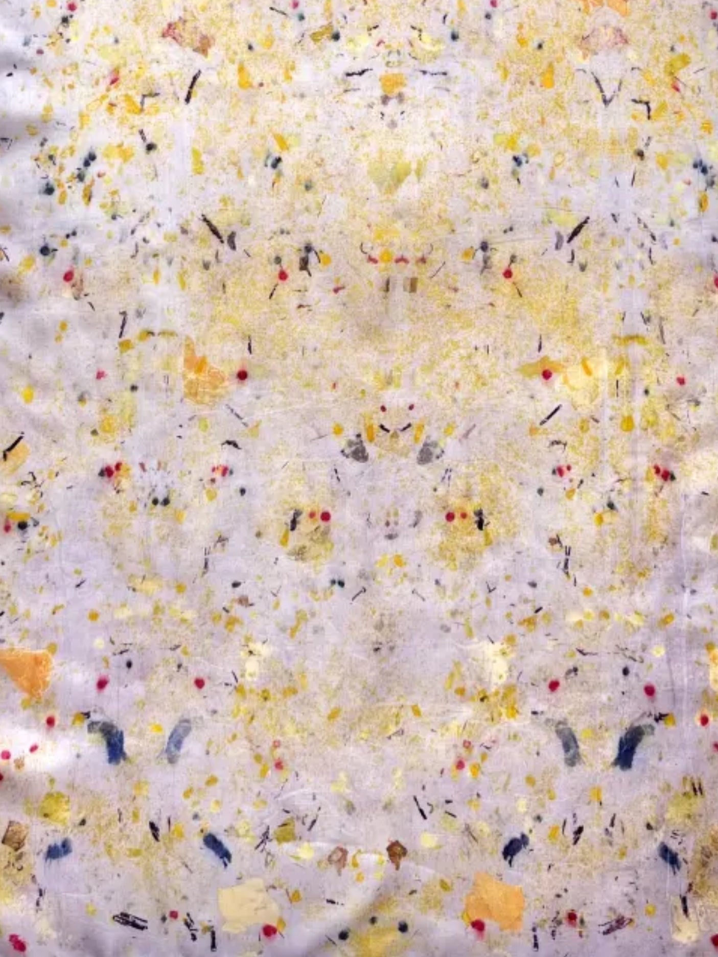 canto #1 _ pañuelo de seda con estampación botánica / 180x45 cm.