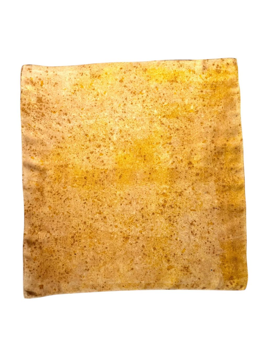 tierra #4 _ pañuelo de seda con estampación botánica / 53x53 cm.