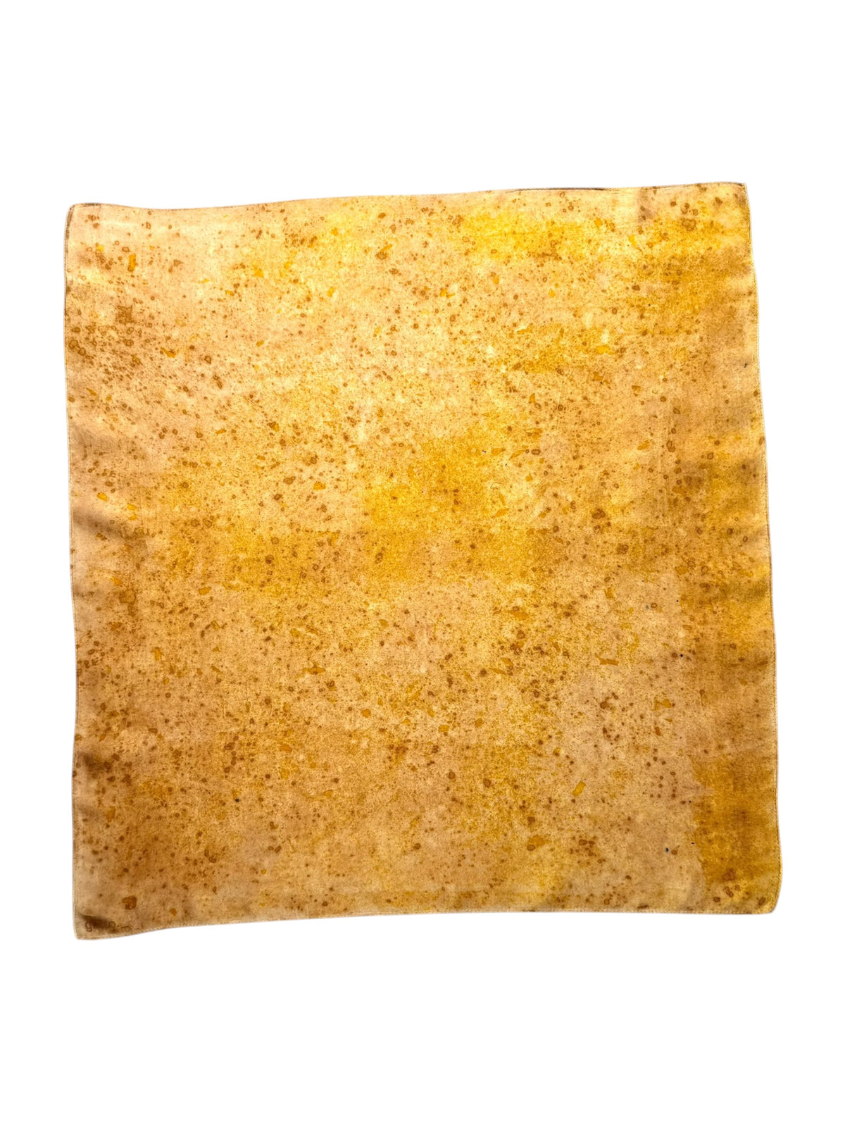 tierra #4 _ pañuelo de seda con estampación botánica / 53x53 cm.