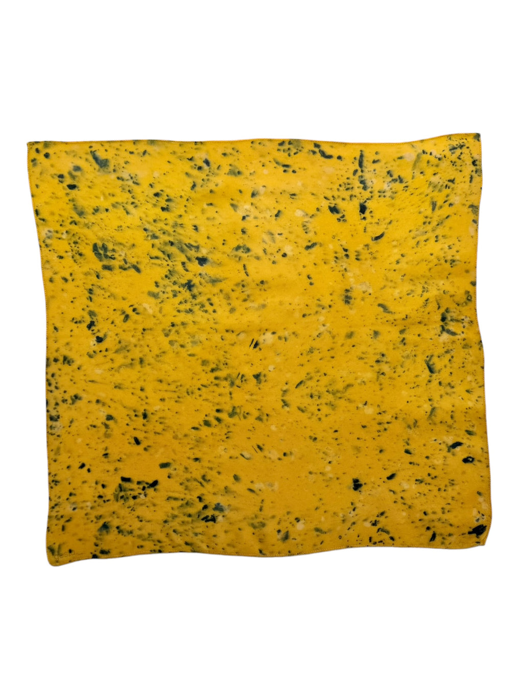 mediodía #3 _ pañuelo de seda con estampación botánica / 50x50 cm.
