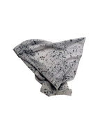 viento _ pañuelo de seda con estampación botánica / varios modelos