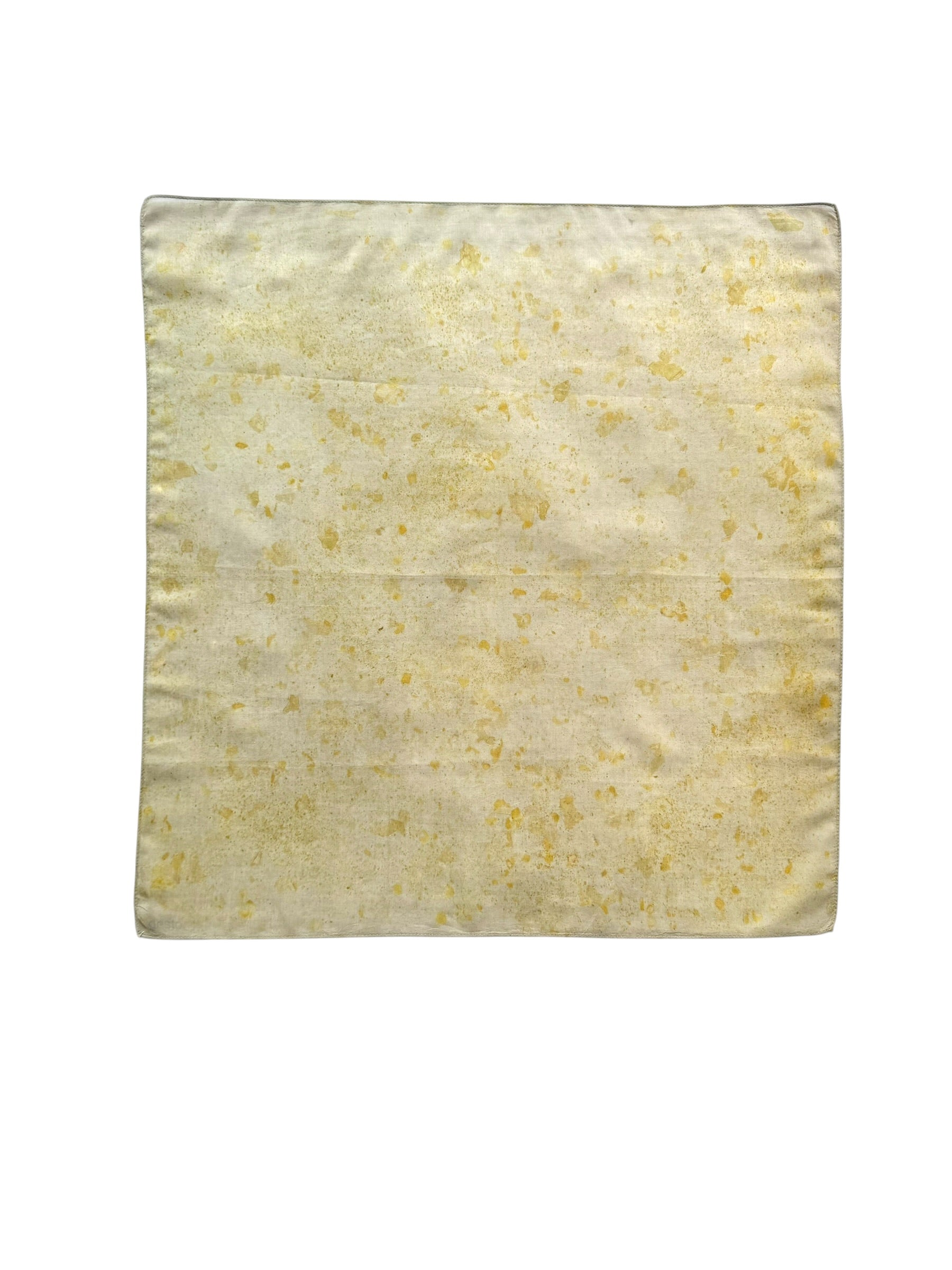 siembra #2 _ pañuelo de algodón y seda con estampación botánica / 53x53 cm.