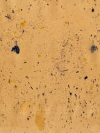 infusión #2 _ pañuelo de seda con estampación botánica / 180x44 cm.