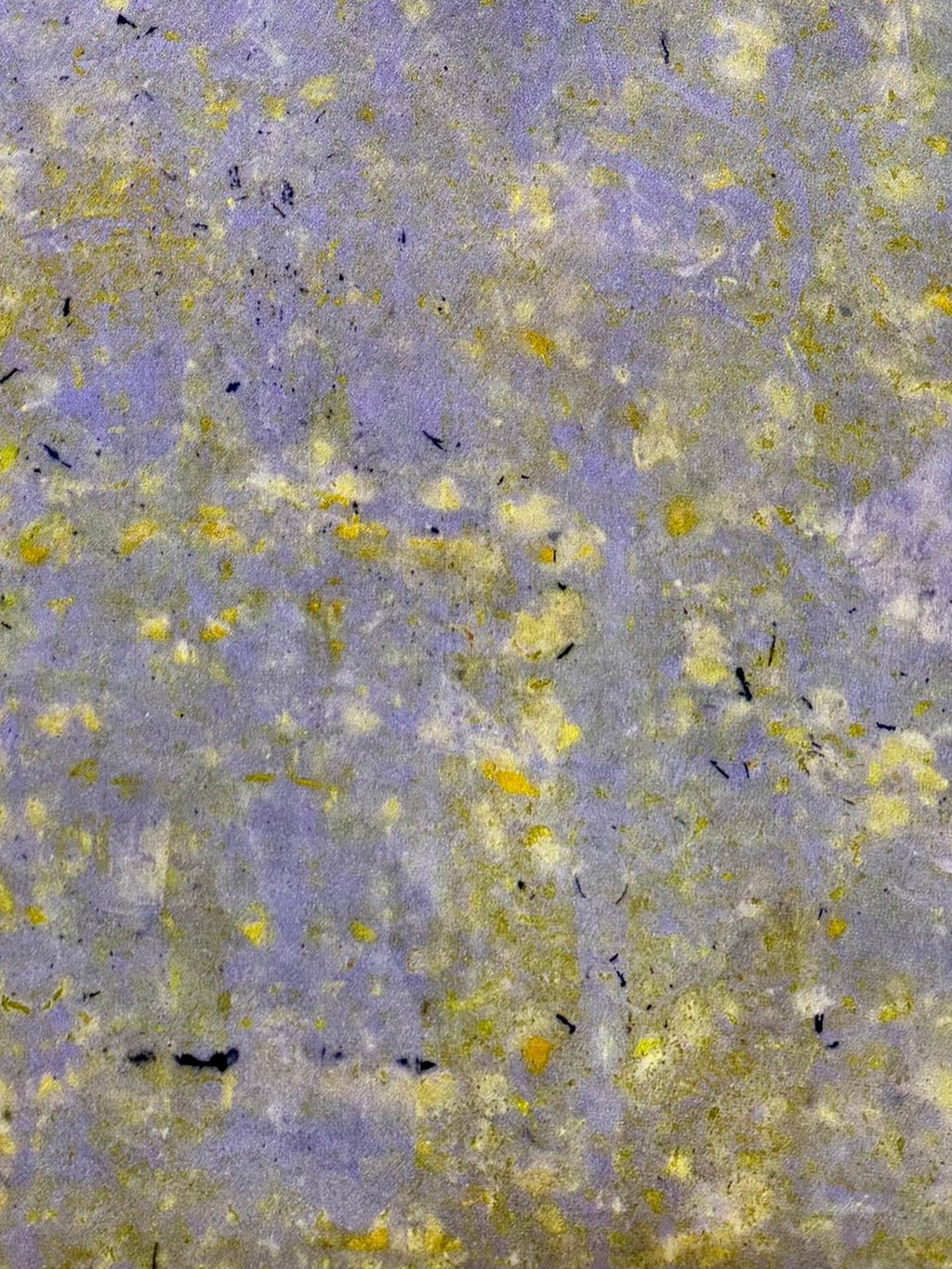 lumen #2 _ pañuelo de seda con estampación botánica / 180x44 cm.