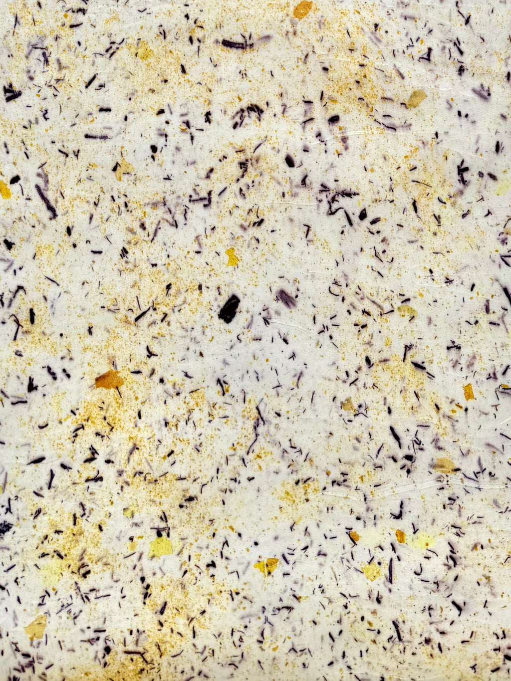 polen #7 _ pañuelo de seda con estampación botánica / 180x44 cm.