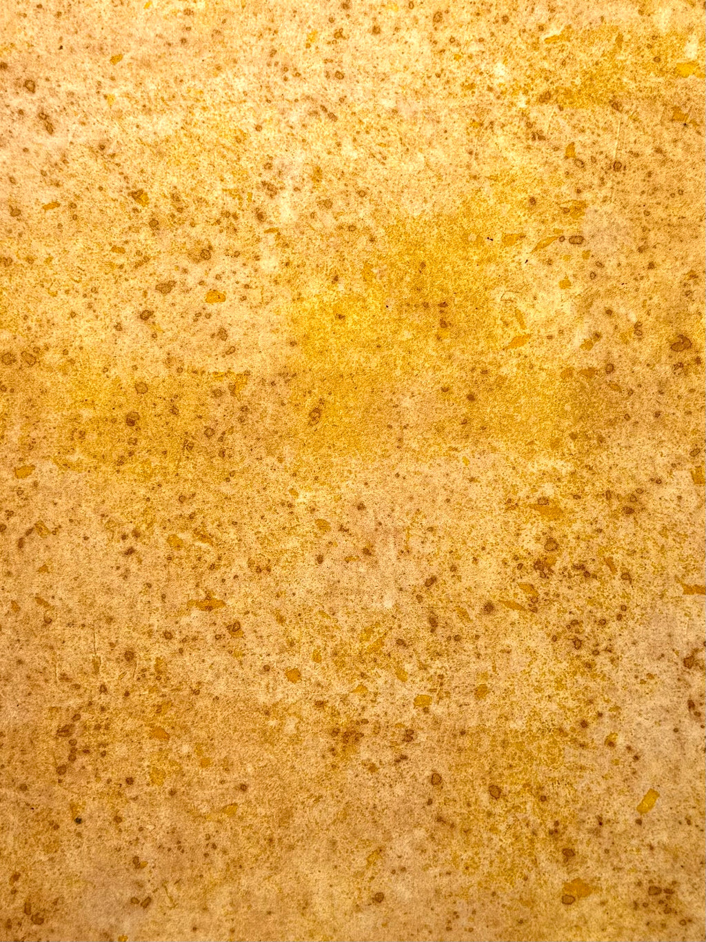 tierra #4 _ pañuelo de seda con estampación botánica / 53x53 cm.
