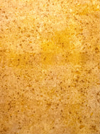 tierra #4 _ pañuelo de seda con estampación botánica / 53x53 cm.