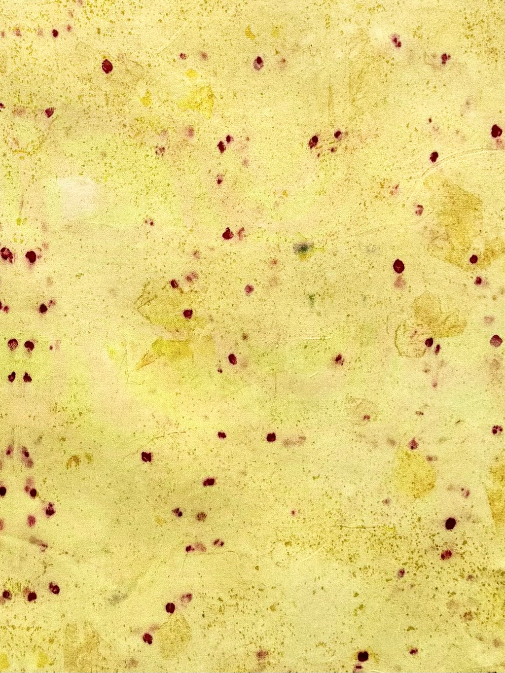 sol #2 _ pañuelo de seda con estampación botánica / 53x53 cm.