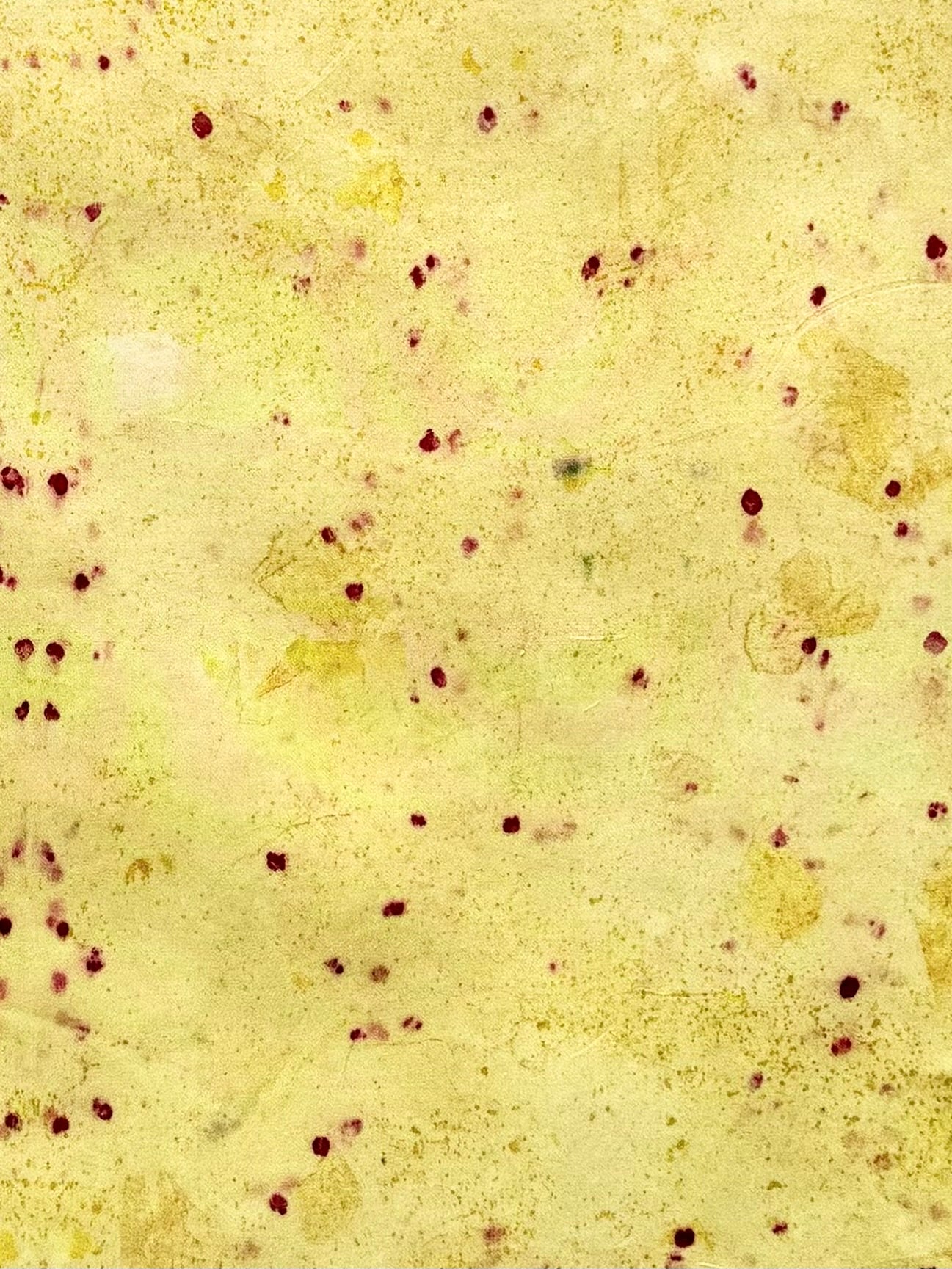 sol #2 _ pañuelo de seda con estampación botánica / 53x53 cm.