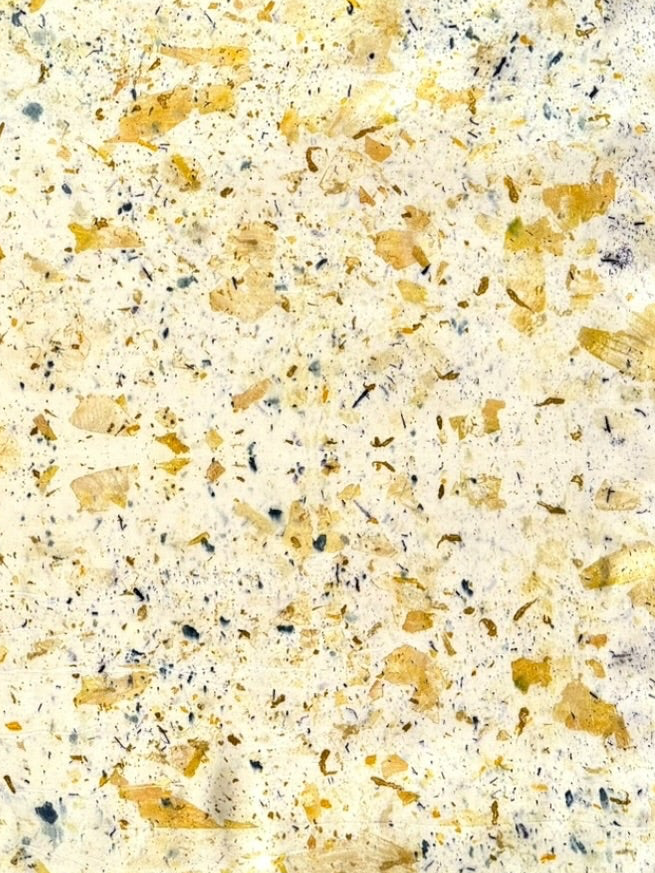 cosecha #2 _ pañuelo de seda con estampación botánica / 90x90 cm.