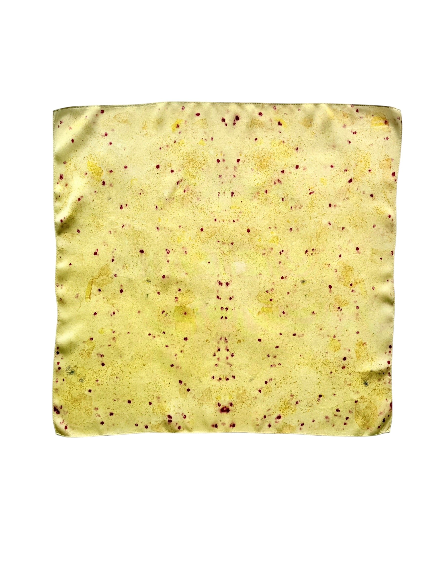 sol #2 _ pañuelo de seda con estampación botánica / 53x53 cm.