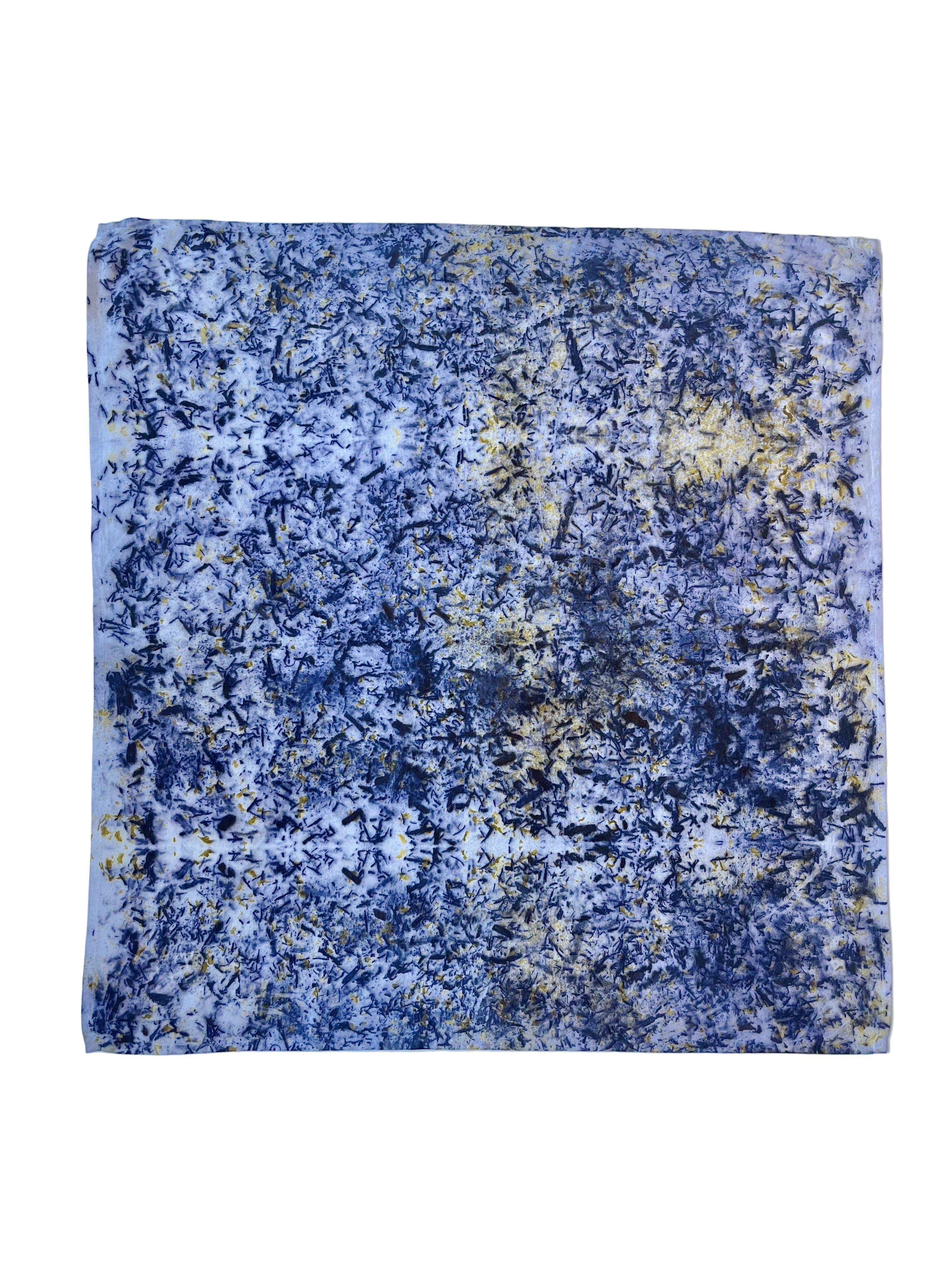 chaparrón #1 _ pañuelo de algodón con estampación botánica / 55x55 cm.