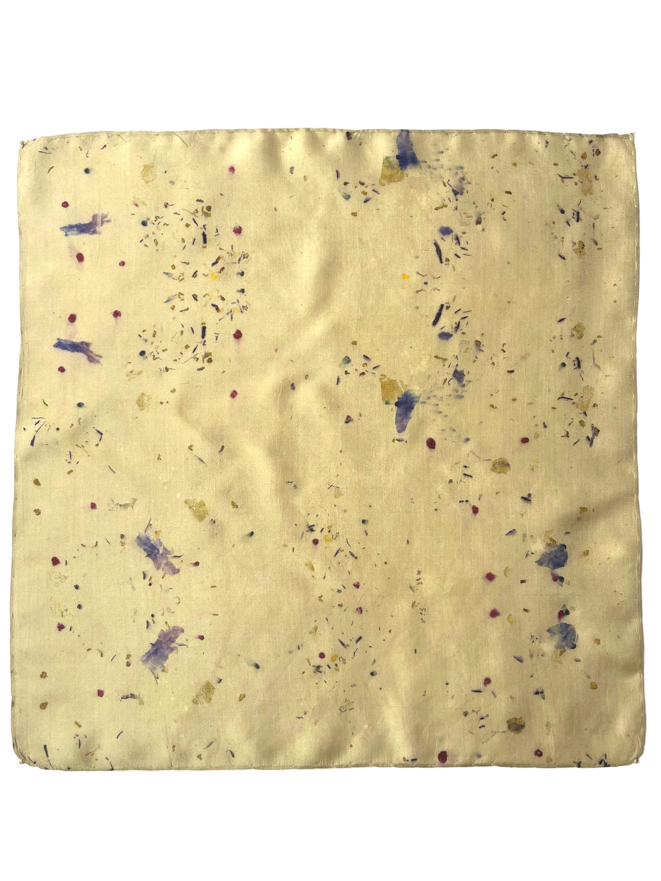 campo _ pañuelo de seda con estampación botánica / 45x45 cm.