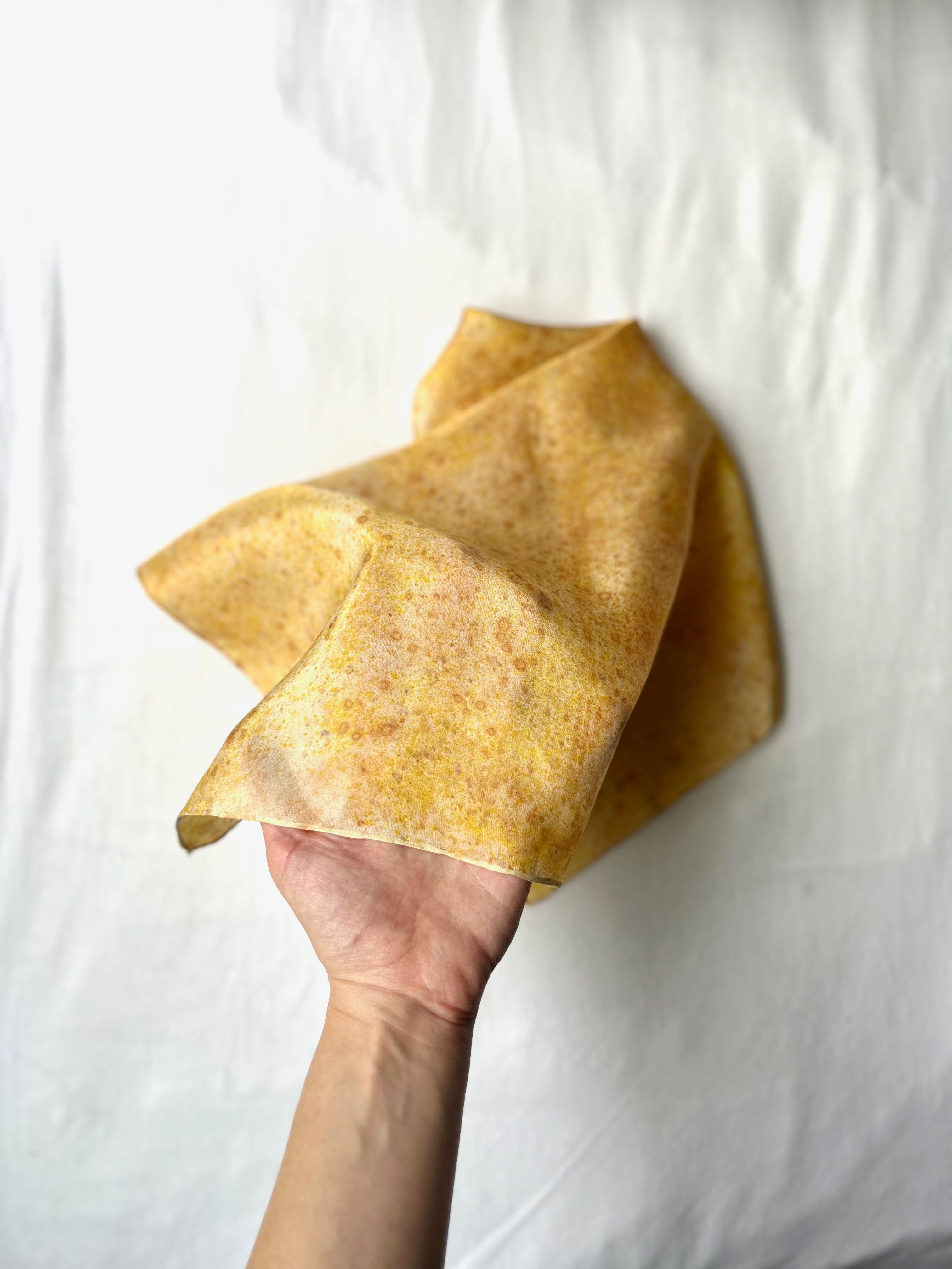 sobremesa #1 _ pañuelo de seda con estampación botánica / 45x45 cm.