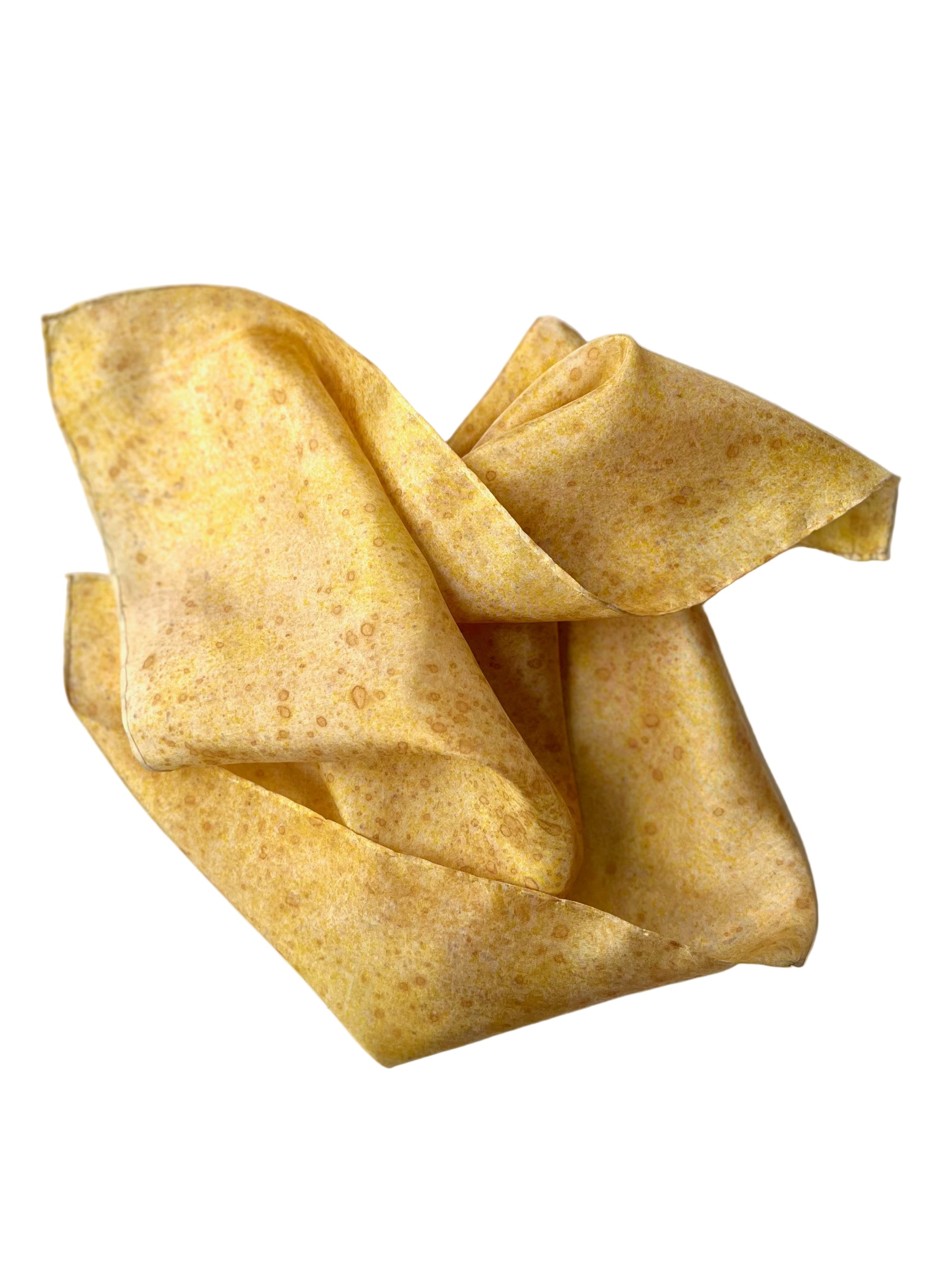 sobremesa #1 _ pañuelo de seda con estampación botánica / 45x45 cm.