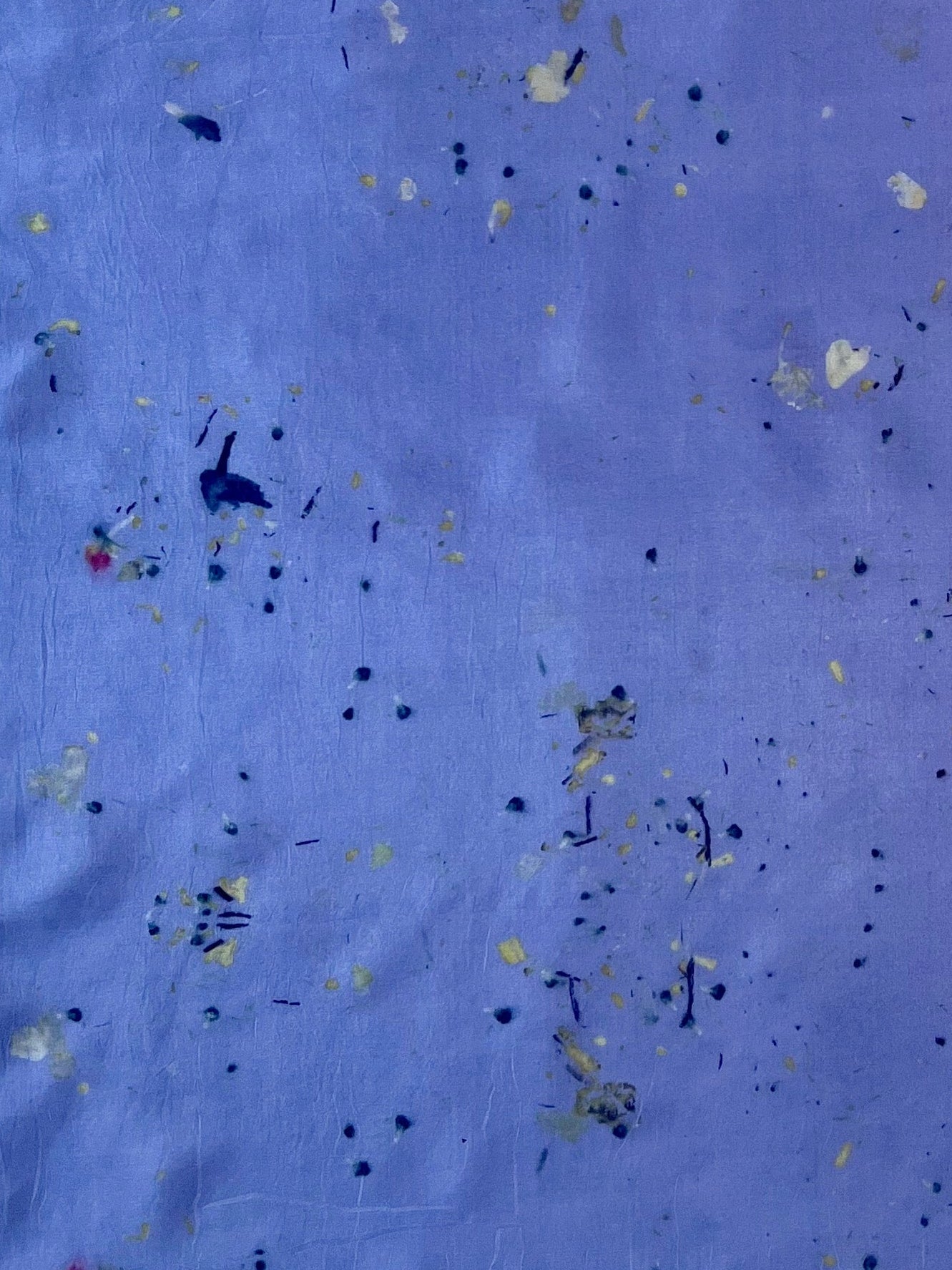 aire _ pañuelo de seda con estampación botánica / 55x55 cm.