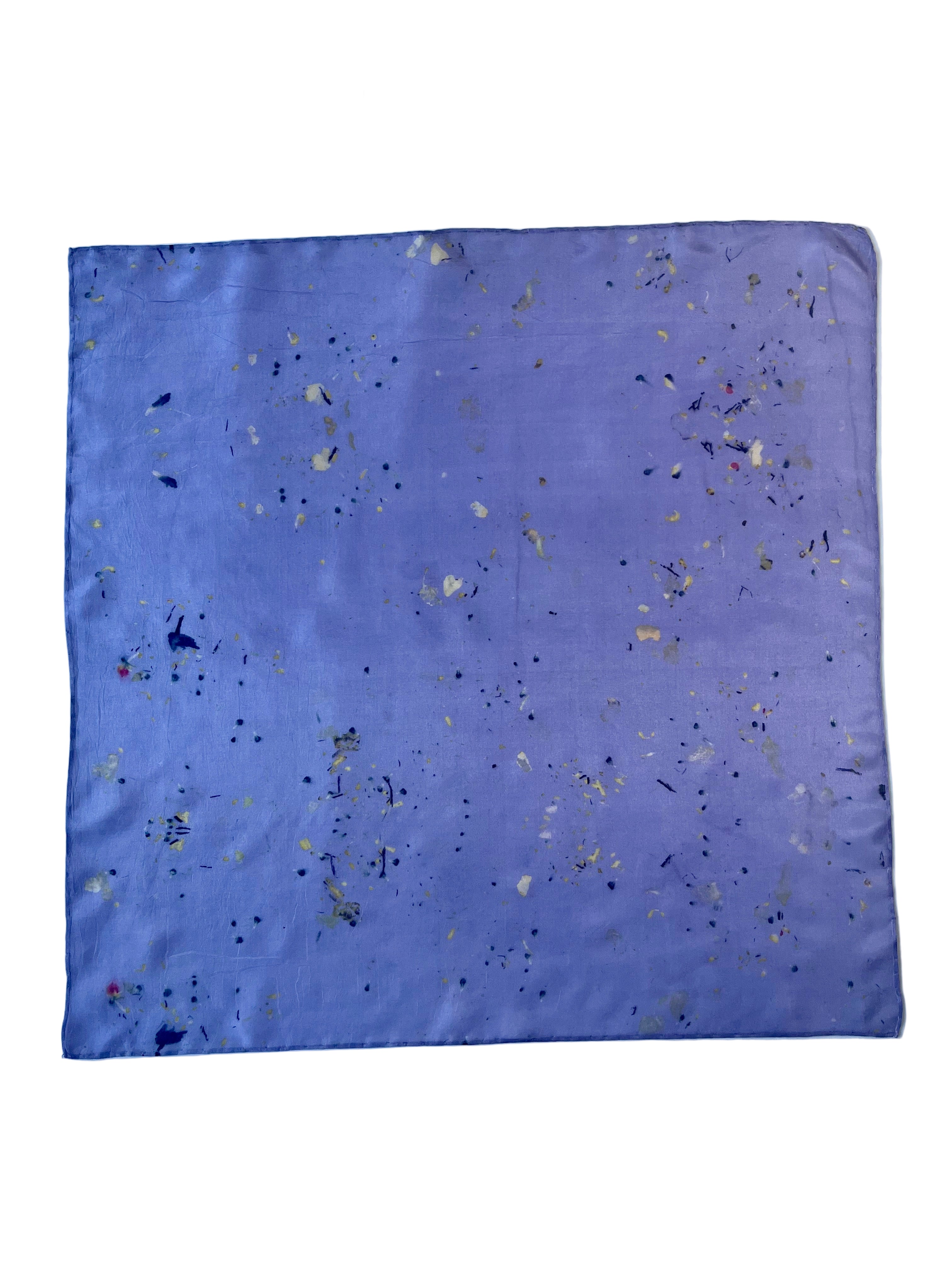 aire _ pañuelo de seda con estampación botánica / 55x55 cm.