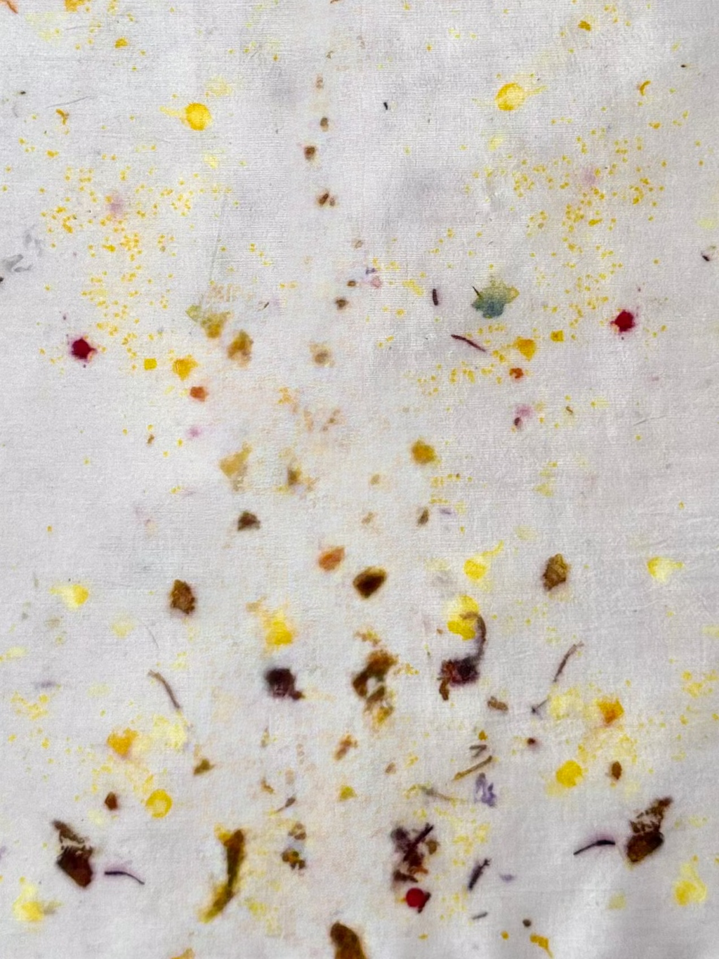 bostezo #1 _ pañuelo de seda con estampación botánica / 45x45 cm.