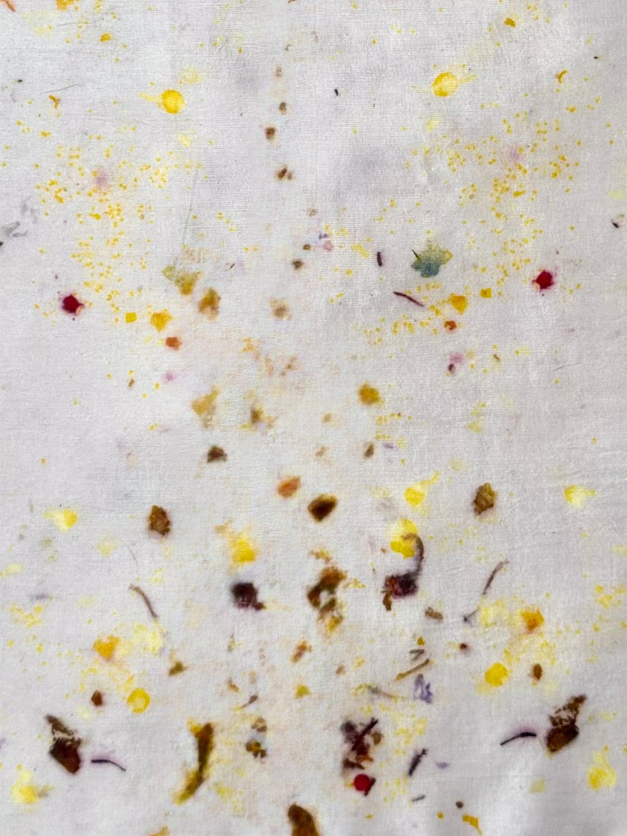 bostezo #1 _ pañuelo de seda con estampación botánica / 45x45 cm.