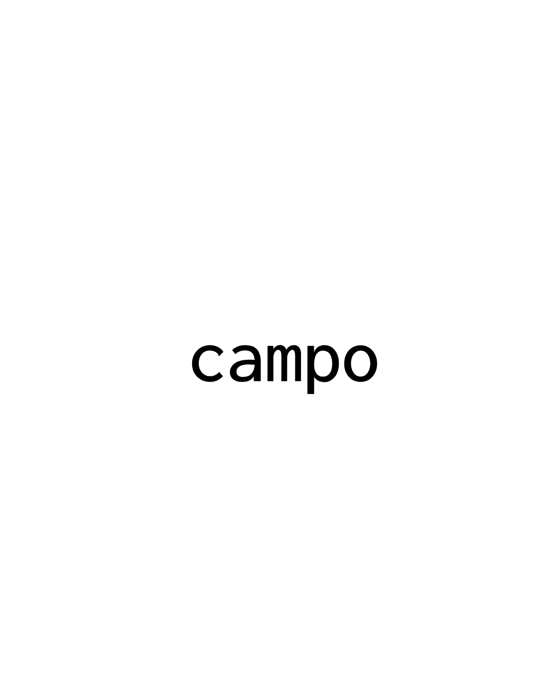 campo _ pañuelo de seda con estampación botánica / varios modelos