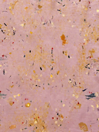 canto #4 _ pañuelo de seda con estampación botánica / 180x44 cm.