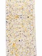 polen #7 _ pañuelo de seda con estampación botánica / 180x44 cm.